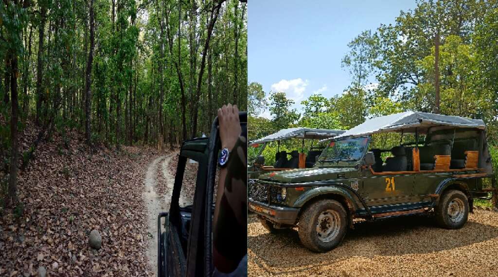 Corbett Tiger Reserve