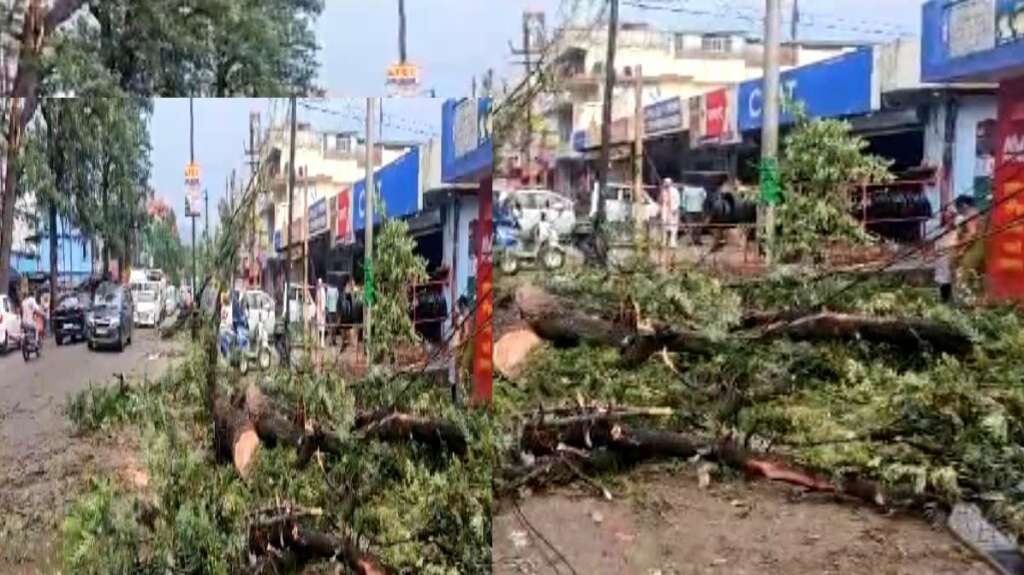 Uttarakhand Weather News